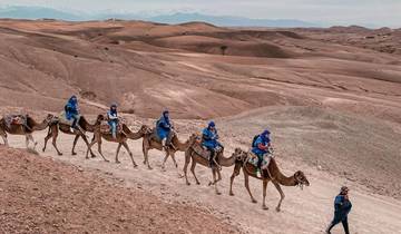 Explorez Marrakech : Histoire, côte et désert d'Agafay