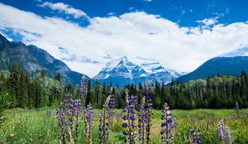 Panoramic Canadian Rockies (Rocky Mountaineer SilverLeaf, Verandah Cruise)