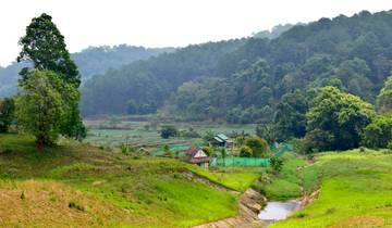 CHIANG MAI - MAE HONG SON - CHIANG MAI-rondreis