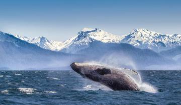 Spectacular Canadian Rockies (Inside Cruise, 17 Days) (13 destinations)