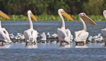 Lower Danube Discovery 2025 - 16 Days