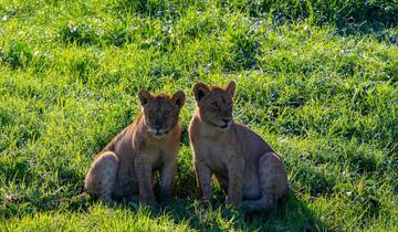 5 jours de safari économique en Tanzanie circuit