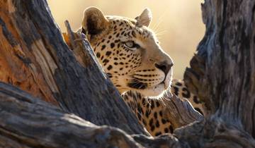 Safari culturel de 11 jours en Tanzanie* circuit