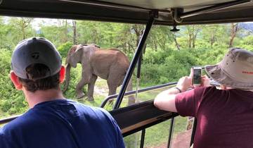 Northern Tanzania Safari. (Accommodation and Transport are Included.) Tour
