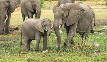 5 jours de safari privé de moyenne gamme dans les principaux parcs nationaux d'Afrique