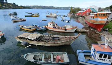 L\'île Chiloe, l\'observation des oiseaux et la culture indigène en 5 jours circuit