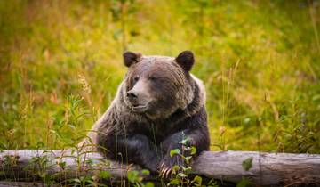 Eastern Canada, Rockies Explorer and Alaska Cruise Toronto → Vancouver (2026)