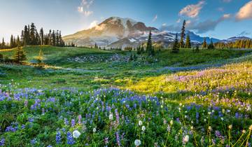 Washington road trip: Seattle Sights & Olympic Mountains