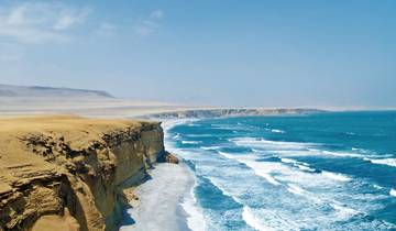 Ratselhafte Scharrbilder und 'Klein-Galapagos'