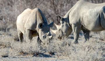 9-Day Private Swaziland & Mozambique Beach Adventure Tour