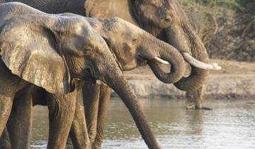 Explore Zambian Culture & Wildlife in 10 days Nanzhila Tour Tour