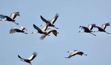 Safari dans le parc national de Kafue 3 jours/2 nuits
