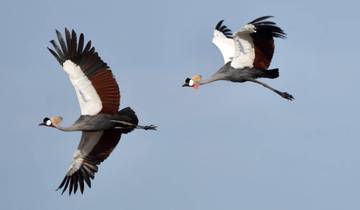 3 Day Kafue National Park Itinerary, incl. Livingstone and Itezhi Tezhi