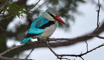 3 Day Kafue National Park Itinerary, incl. Livingstone and Itezhi Tezhi
