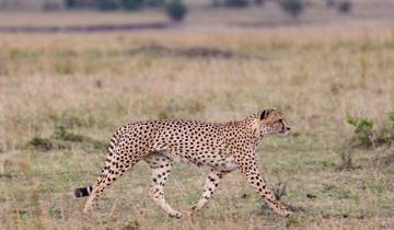 Explore Zambia’s Wildlife Half-Day