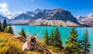 Le meilleur du Canada Toronto → Victoria (2026)