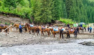 9 Day Kazakhstan Itinerary, incl. Almaty and Turkestan