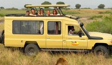 3-Day Uganda Fly to Bwindi-in Gorilla Tour