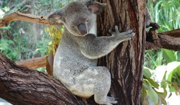 Australia Round Trip - 24 Days of highlights Down Under Tour