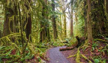 Pacific Northwest Roadtrip : Misty Forests & Wild Shores (Roadtrip du Nord-Ouest du Pacifique) (8 destinations)