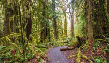 Pacific Northwest Roadtrip : Misty Forests & Wild Shores (Roadtrip du Nord-Ouest du Pacifique) (9 destinations)