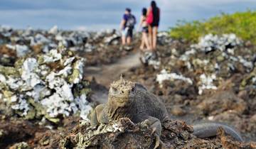 Explorador de las Islas Galápagos - 7 días