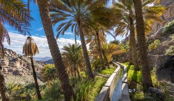 Oman Uncovered: Road Trip to Dunes, Dhows & Desert Dreams Tour