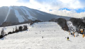 Séjour à Tokyo et aventure de ski à Appi Kogen 2025-26 circuit
