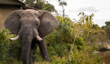 Circuito Expedición de 10 días a Uganda por los Primates y los Cinco Grandes