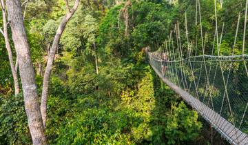 Aventura ferroviaria en la jungla de Malasia