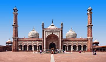 Taj, temples et tigres circuit