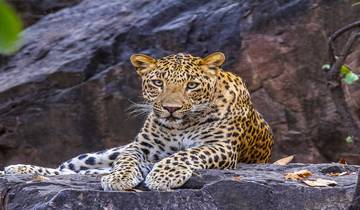 Wildlife of India Tour