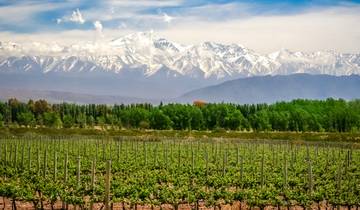 Wines & Wonders of South America Tour