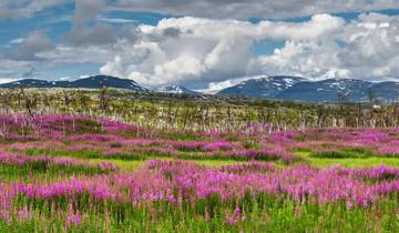 Northern Sweden by Rail