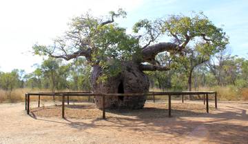 Wonders of the Kimberley and Coast Adventure Broome → Darwin (2026)