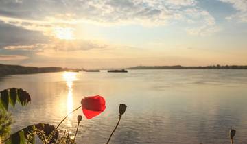 Donau Stad & Natuur 2025