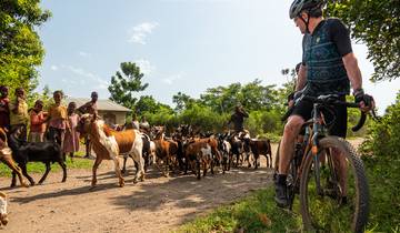 Cyclisme dans les régions sauvages de l\'Ouganda circuit