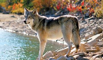 Rockies Grandeur, Alaska Cruise & Best of the East