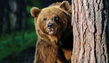 Rockies Grandeur & Beste van het Oosten 2026-rondreis