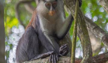 Explore Wonders of Southwest Nigeria 7 Days
