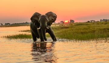 Circuito Aventura de 2 días en Chobe en el Elephant Valley Lodge