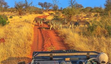 Circuito 2 días - Experiencia de safari en el Parque Nacional de Chobe