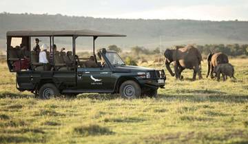 2-Day Sabi Sands overnight Safari a Wild Quick Escape Tour