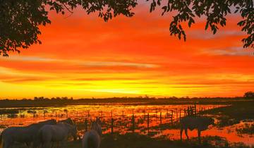 13 jours d\'aventure privée dans la jungle du nord du Brésil, départ quotidien (circuit privé) circuit