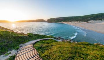 Südafrika Garden Route: Wildlife, Waves & Roadtrip Vibes (von Kapstadt bis Stellenbosch)