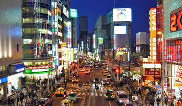 Die „Goldene Route“ und das alte Japan (von Osaka bis Tokio)