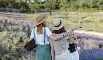 Provence with family: A fabulous roadtrip full of fun and discovery