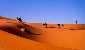 10-Day Private Journey from Marrakech to the Desert and imperial cities Tour