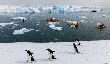 South Shetland Islands and Antarctic Peninsula with Halal Dining Options Tour