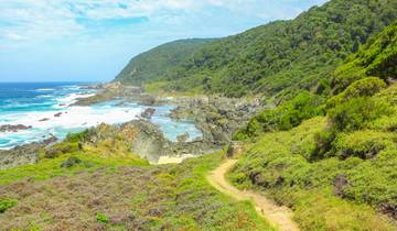 Découvrez la Route des jardins d'Afrique du Sud